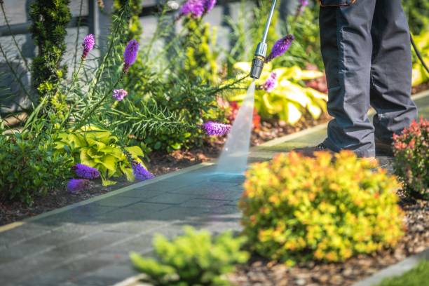 Best Driveway Pressure Washing  in Buttonwillow, CA